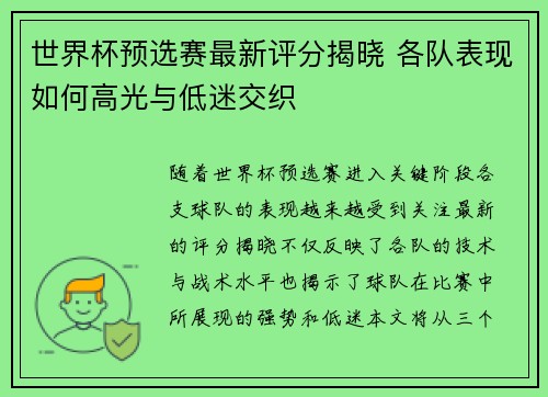 世界杯预选赛最新评分揭晓 各队表现如何高光与低迷交织