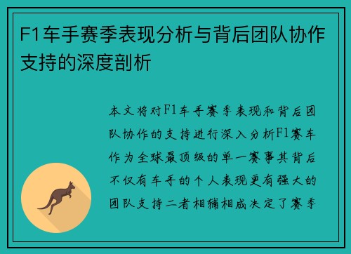 F1车手赛季表现分析与背后团队协作支持的深度剖析