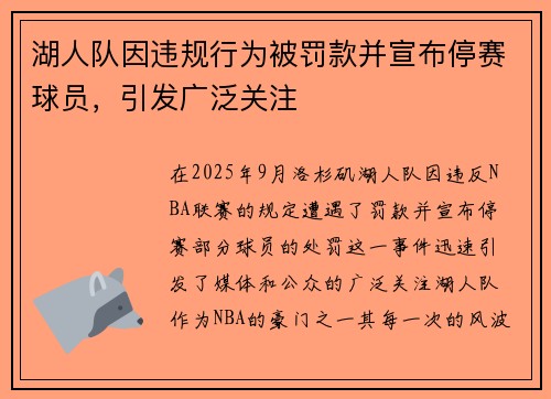 湖人队因违规行为被罚款并宣布停赛球员，引发广泛关注